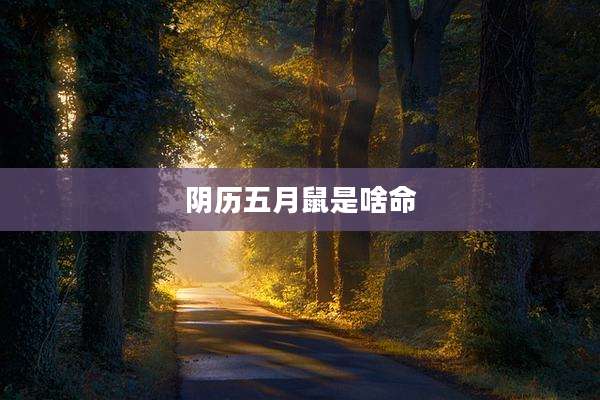 阴历五月鼠是啥命