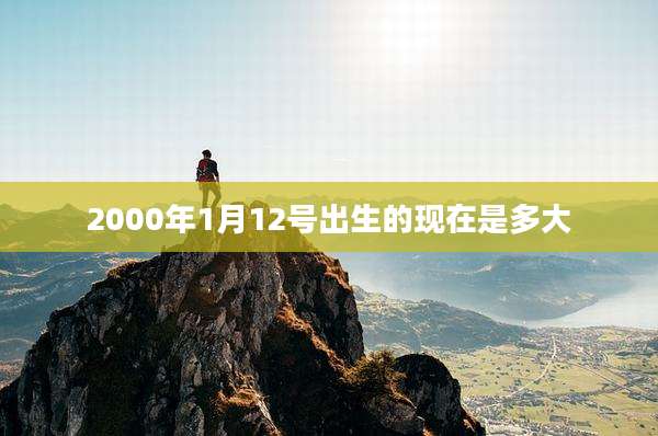 2000年1月12号出生的现在是多大
