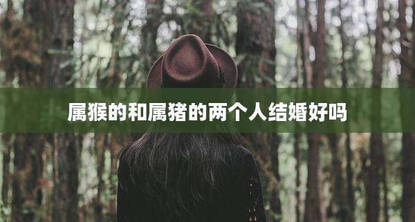 属猴的和属猪的两个人结婚好吗