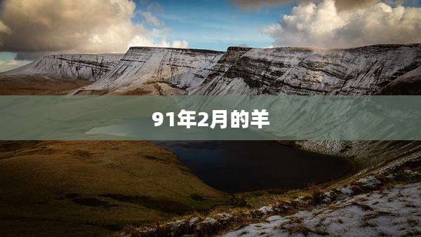 91年2月的羊
