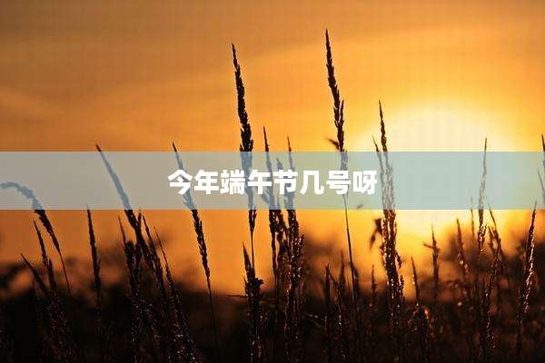 今年端午节几号呀