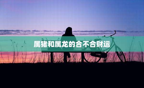 属猪和属龙的合不合财运