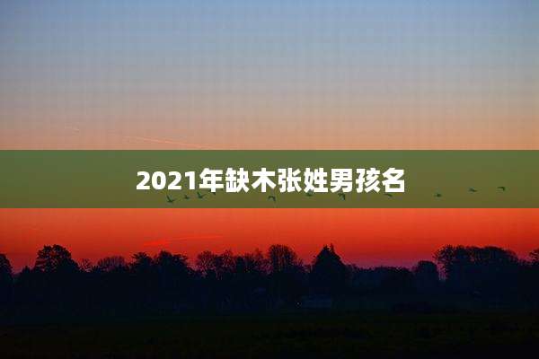 2021年缺木张姓男孩名
