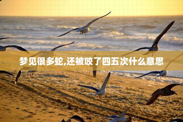 梦见很多蛇,还被咬了四五次什么意思