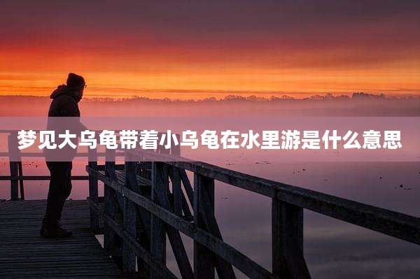 梦见大乌龟带着小乌龟在水里游是什么意思