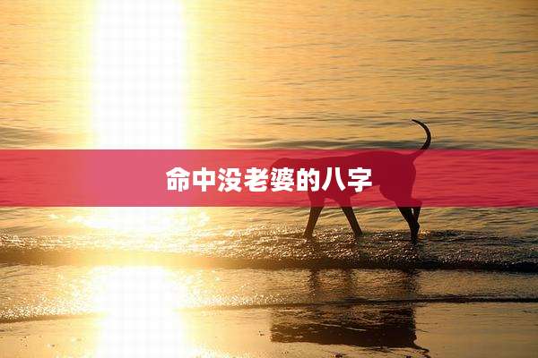 命中没老婆的八字