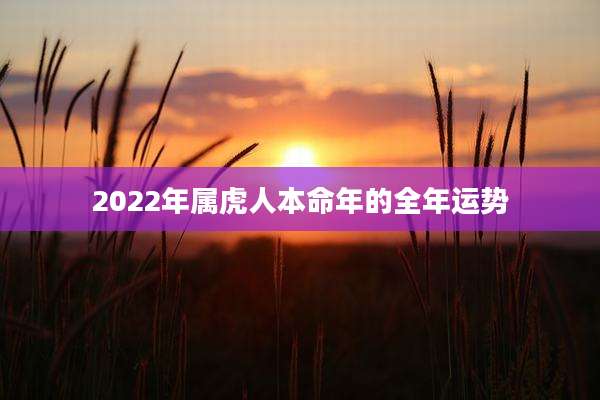 2022年属虎人本命年的全年运势