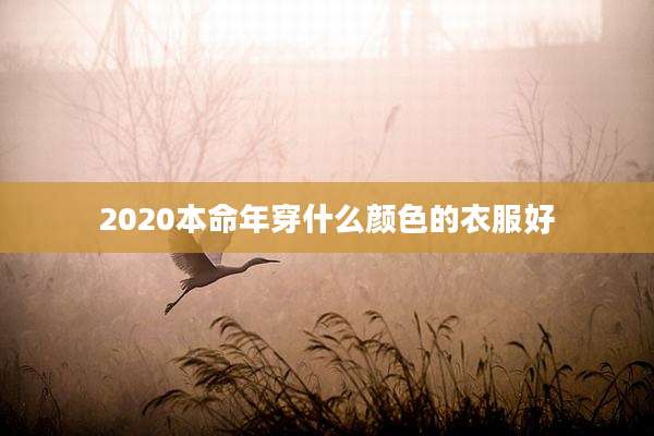 2020本命年穿什么颜色的衣服好