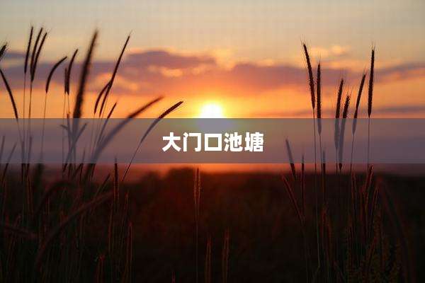 大门口池塘