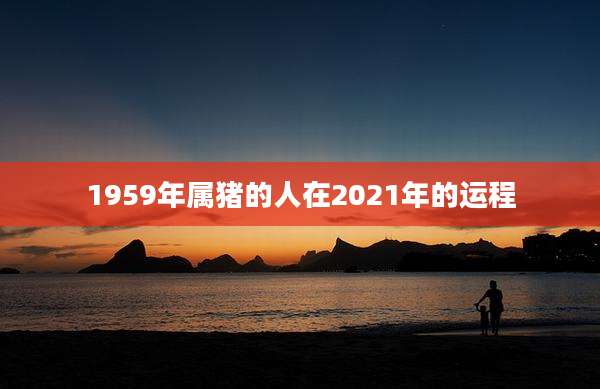 1959年属猪的人在2021年的运程