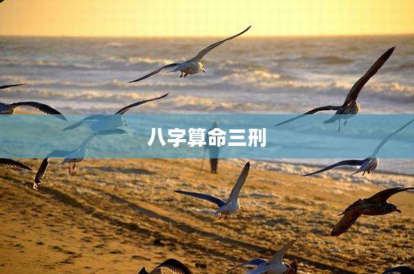 八字算命三刑