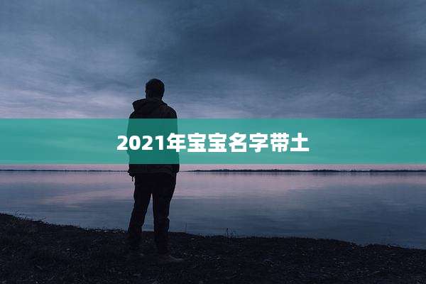 2021年宝宝名字带土
