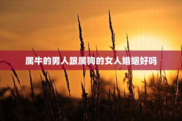 属牛的男人跟属狗的女人婚姻好吗