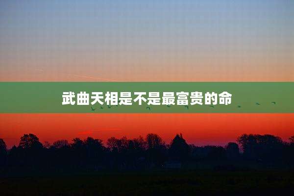 武曲天相是不是最富贵的命