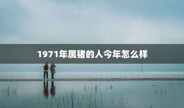 1971年属猪的人今年怎么样