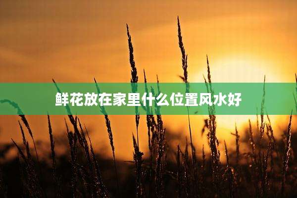 鲜花放在家里什么位置风水好