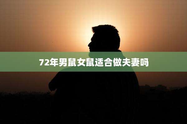 72年男鼠女鼠适合做夫妻吗