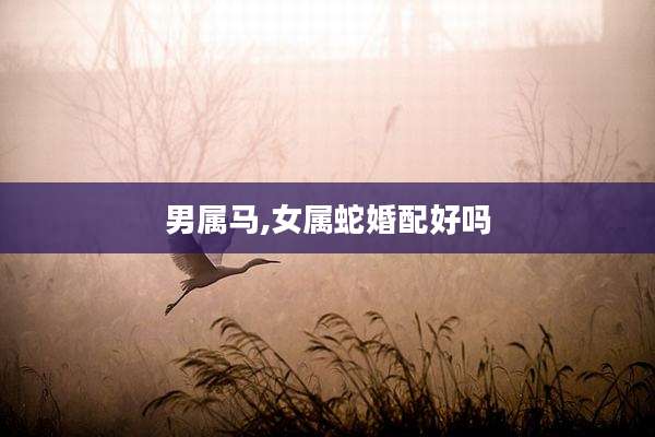 男属马,女属蛇婚配好吗