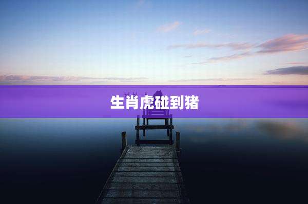 生肖虎碰到猪