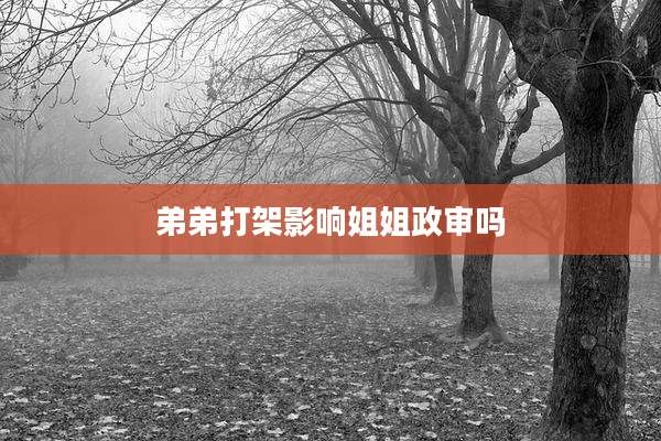 弟弟打架影响姐姐政审吗