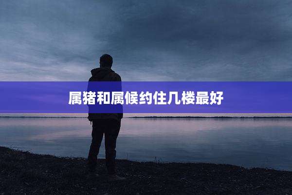 属猪和属候约住几楼最好