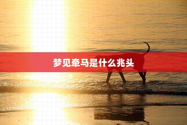 梦见牵马是什么兆头