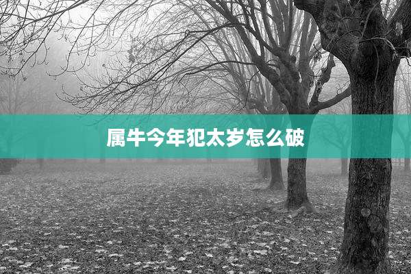 属牛今年犯太岁怎么破