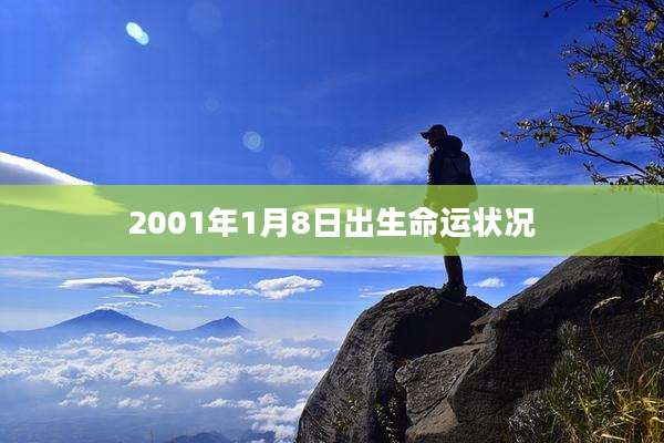 2001年1月8日出生命运状况