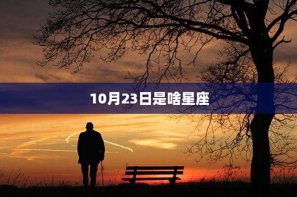 10月23日是啥星座