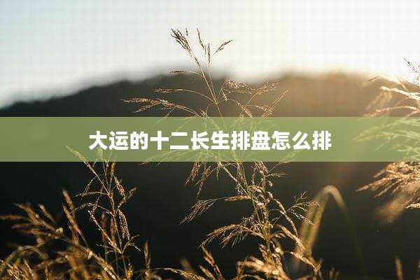 大运的十二长生排盘怎么排