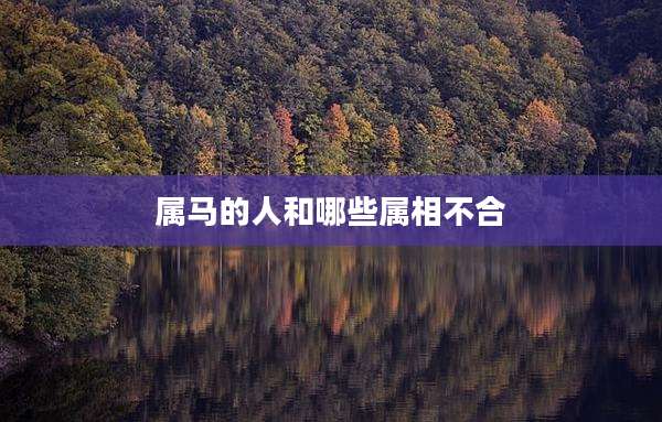 属马的人和哪些属相不合