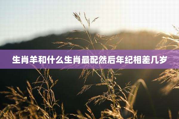 生肖羊和什么生肖最配然后年纪相差几岁