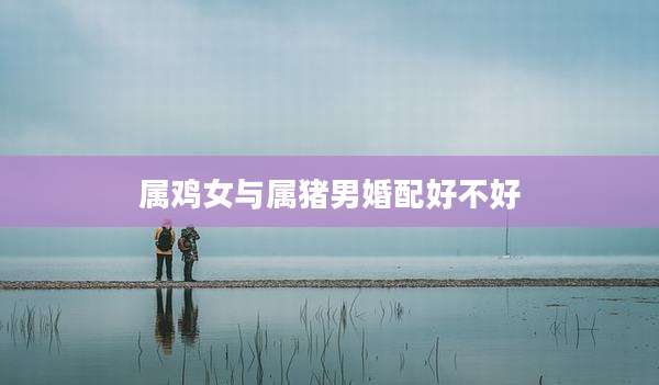属鸡女与属猪男婚配好不好
