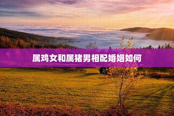 属鸡女和属猪男相配婚姻如何