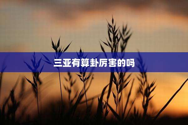三亚有算卦厉害的吗