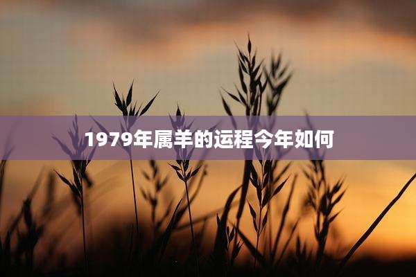 1979年属羊的运程今年如何