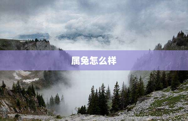 属兔怎么样