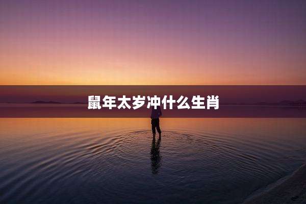 鼠年太岁冲什么生肖