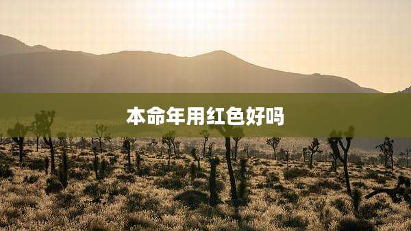 本命年用红色好吗