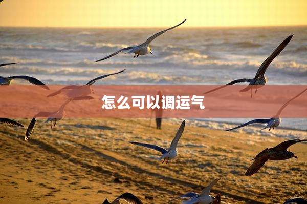 怎么可以调运气