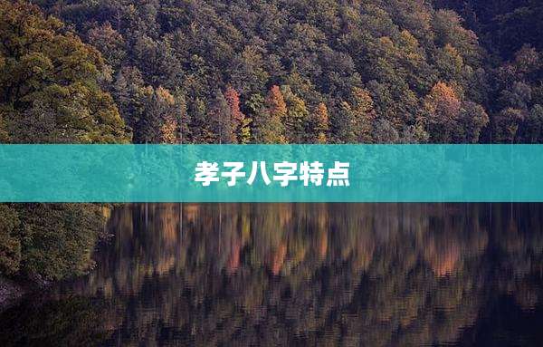 孝子八字特点