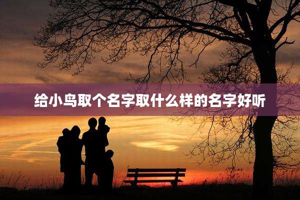 给小鸟取个名字取什么样的名字好听