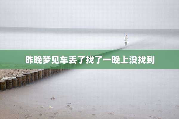 昨晚梦见车丢了找了一晚上没找到