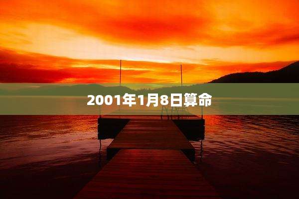 2001年1月8日算命