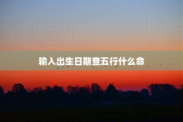 输入出生日期查五行什么命