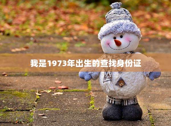 我是1973年出生的查找身份证