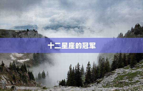 十二星座的冠军