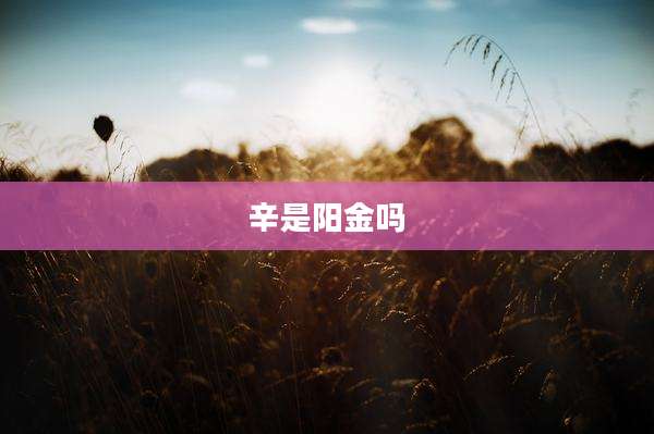 辛是阳金吗