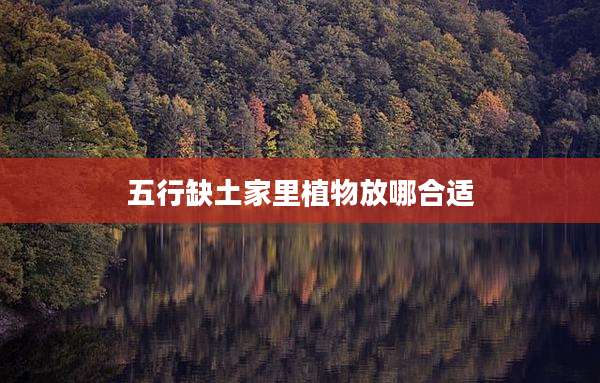 五行缺土家里植物放哪合适