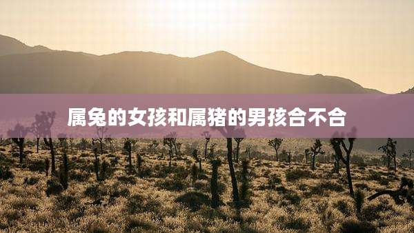属兔的女孩和属猪的男孩合不合